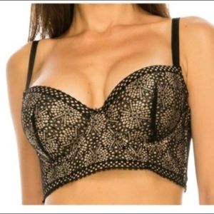 Youmita Floral Lace Bra Size 40C